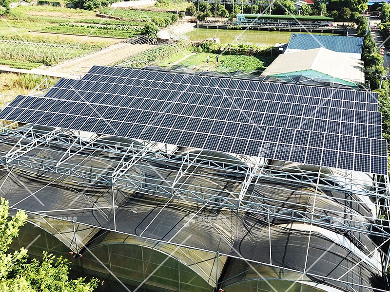 �����ڲ���������Ϊ��,רҵ������ɫ��Դ���޹�˾