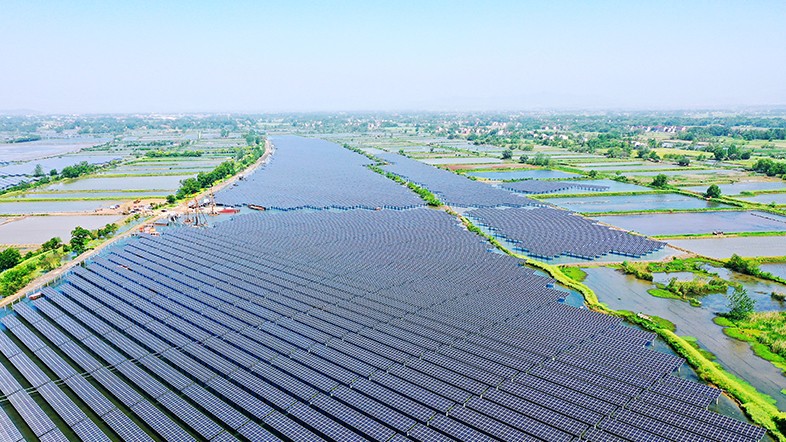 �ڲ���������Ϊ��,רҵ����