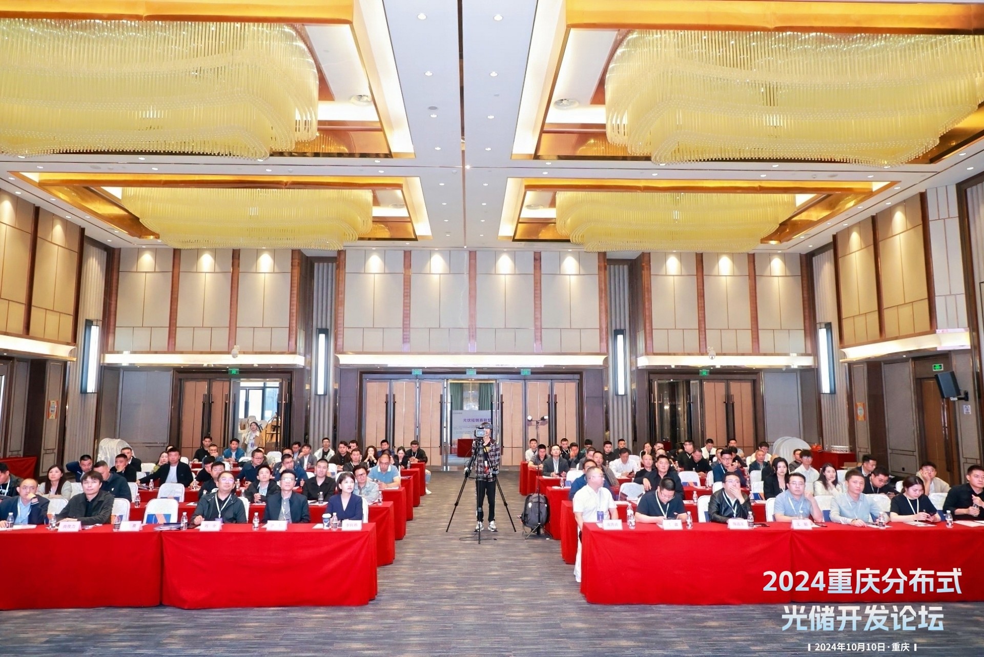 �ڲ���������Ϊ��,רҵ����